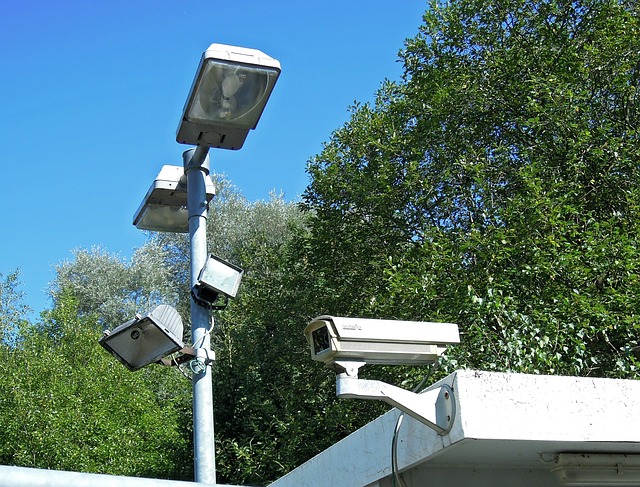 Outdoor surveillance cameras